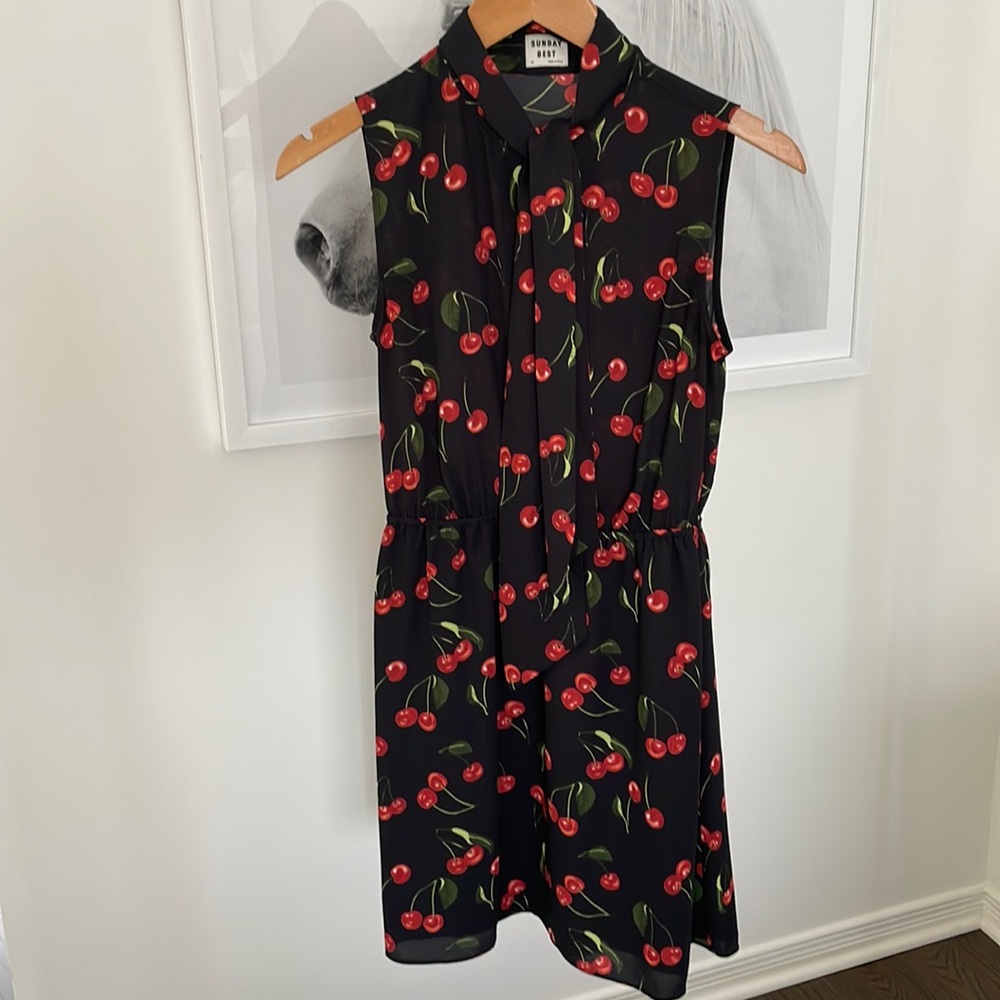 Aritzia dress